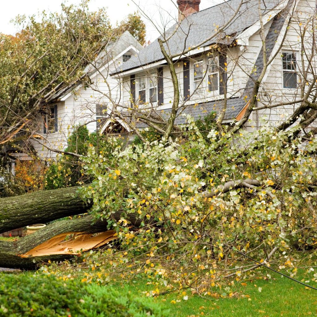 the best louisiana storm damage insurance claims attorney. Sean Regan Law